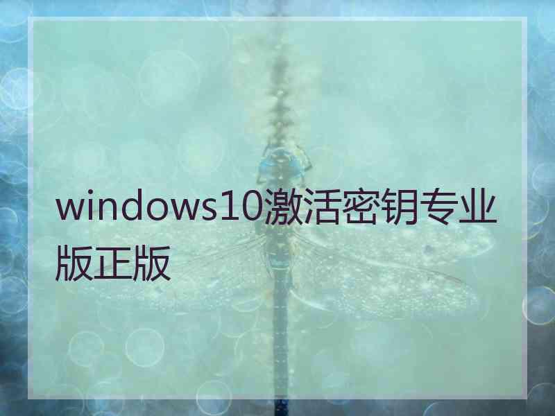 windows10激活密钥专业版正版