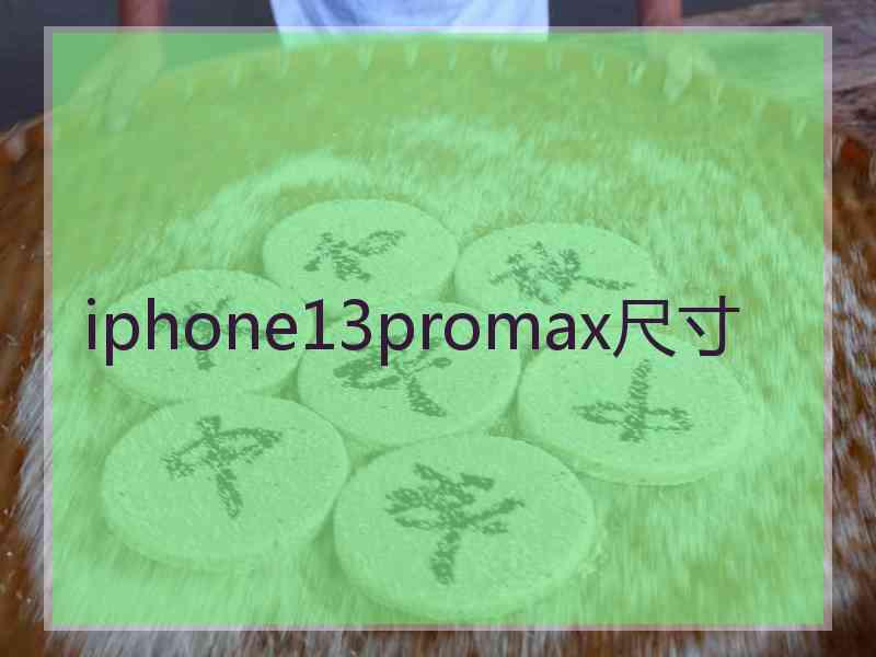 iphone13promax尺寸