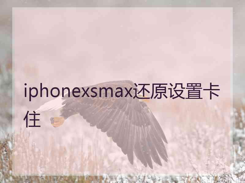 iphonexsmax还原设置卡住