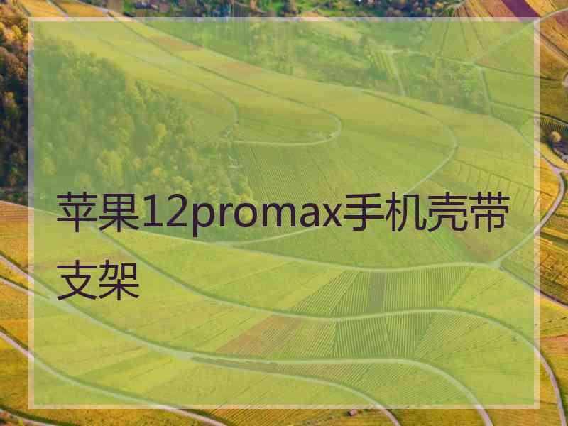 苹果12promax手机壳带支架