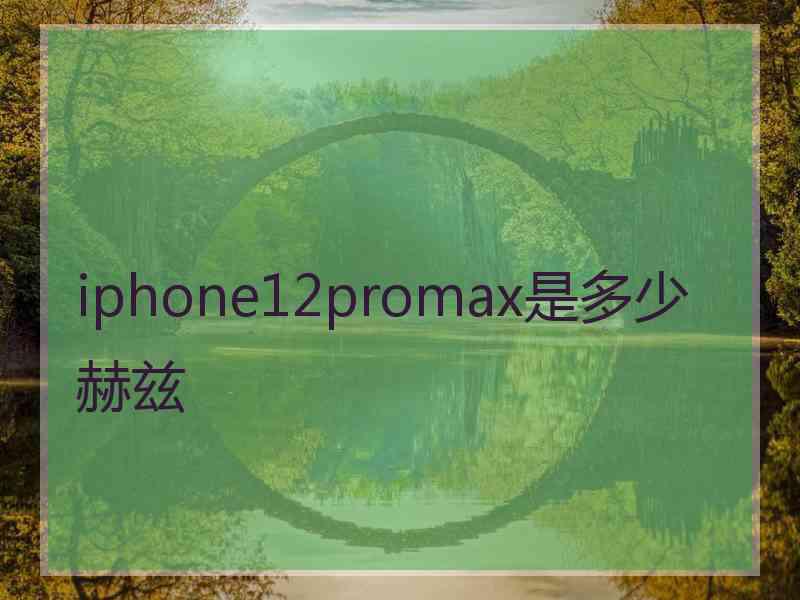 iphone12promax是多少赫兹