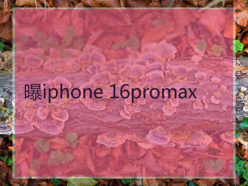 曝iphone 16promax