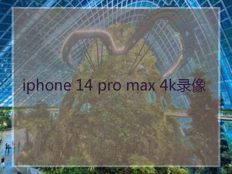 iphone 14 pro max 4k录像