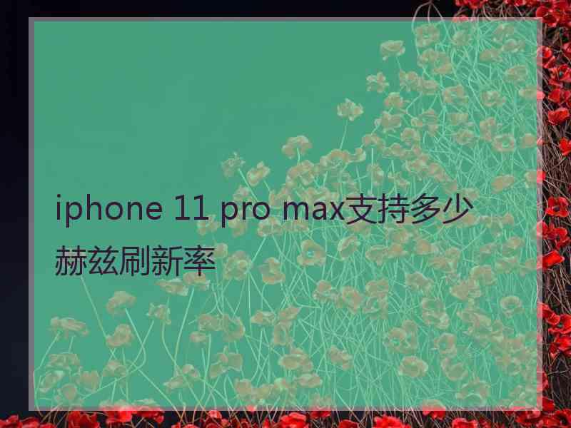 iphone 11 pro max支持多少赫兹刷新率