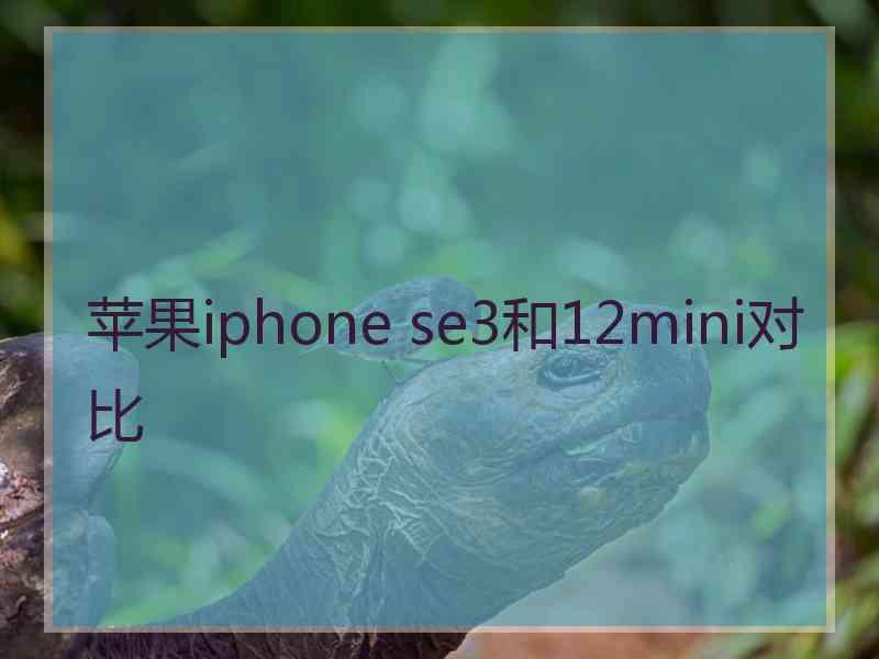 苹果iphone se3和12mini对比