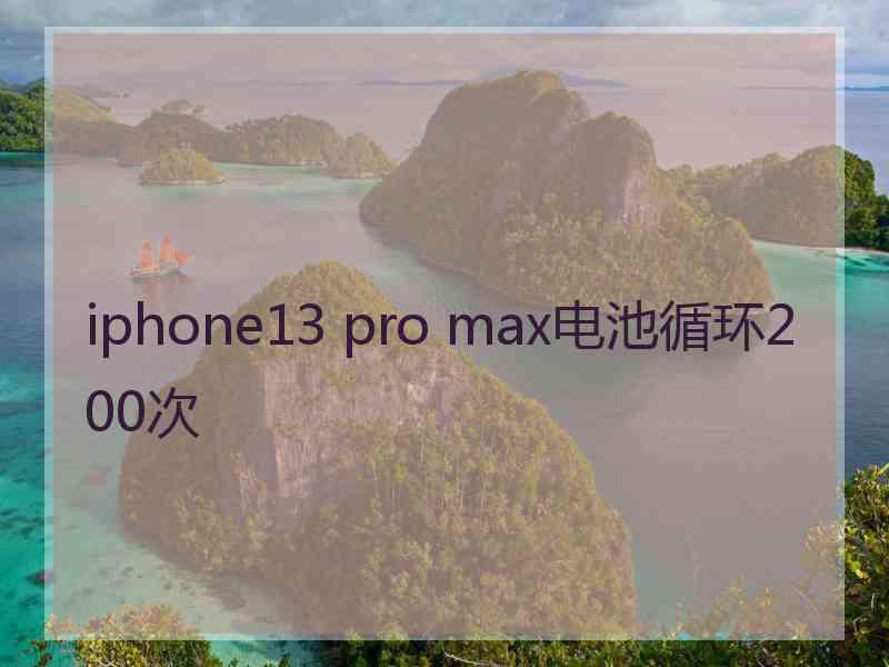 iphone13 pro max电池循环200次