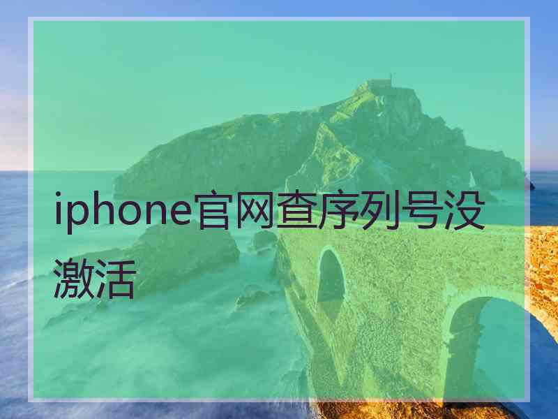 iphone官网查序列号没激活