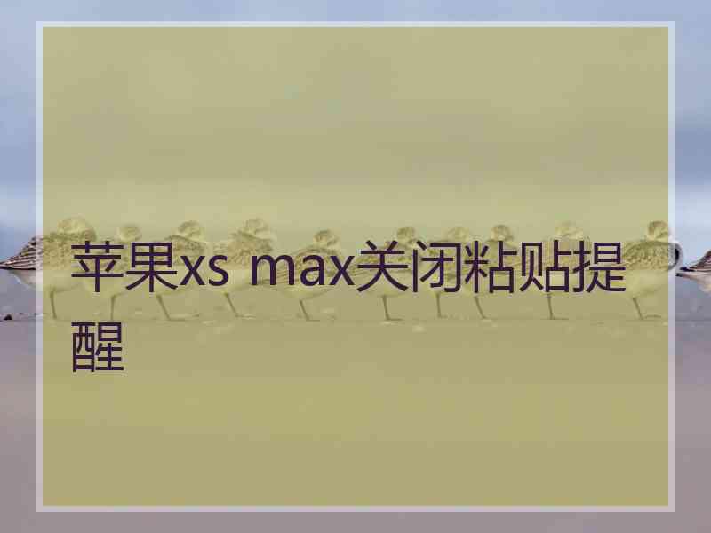 苹果xs max关闭粘贴提醒