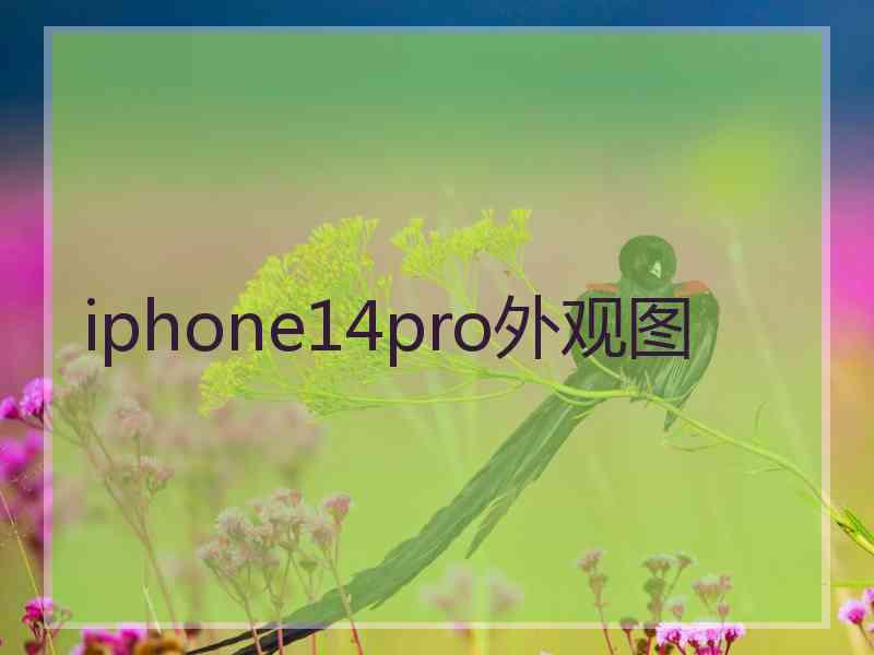 iphone14pro外观图