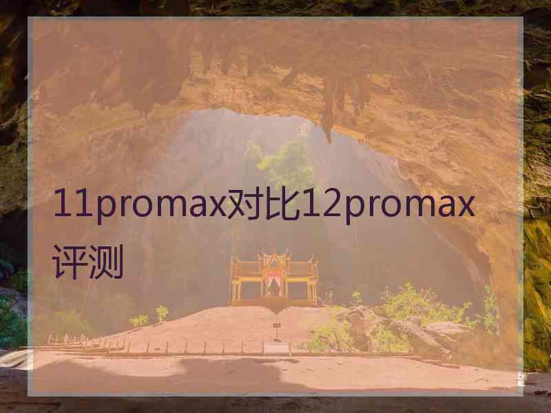 11promax对比12promax评测