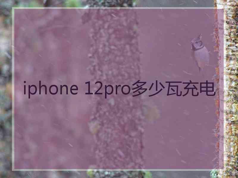 iphone 12pro多少瓦充电