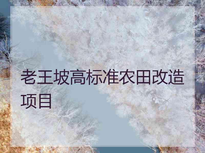 老王坡高标准农田改造项目