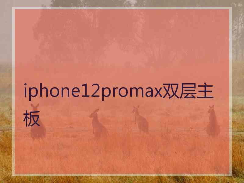 iphone12promax双层主板