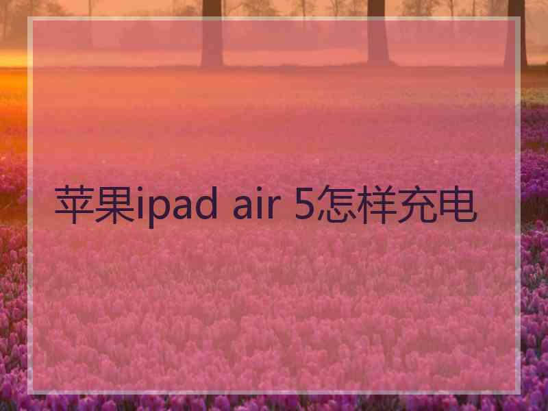 苹果ipad air 5怎样充电