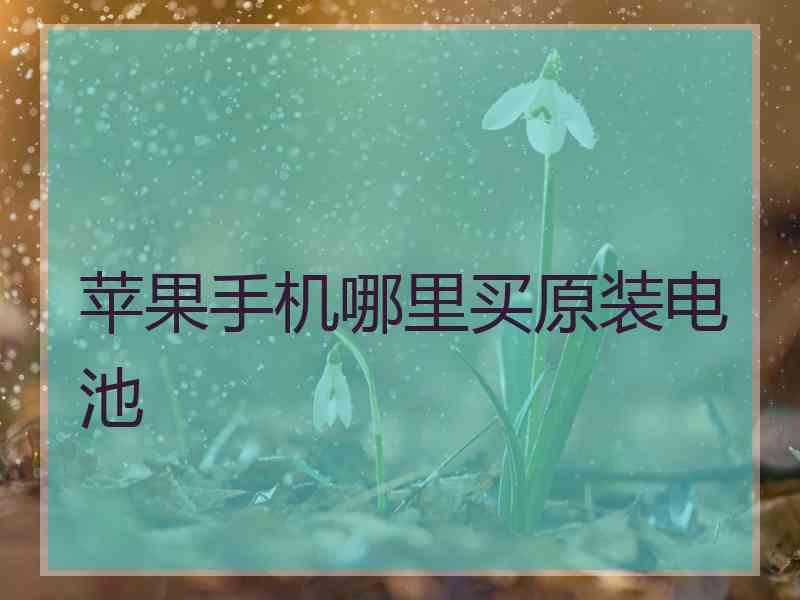 苹果手机哪里买原装电池