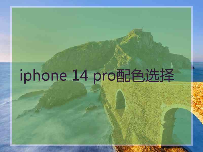 iphone 14 pro配色选择