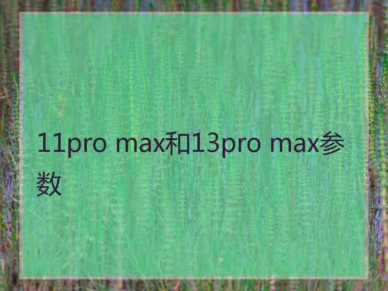 11pro max和13pro max参数