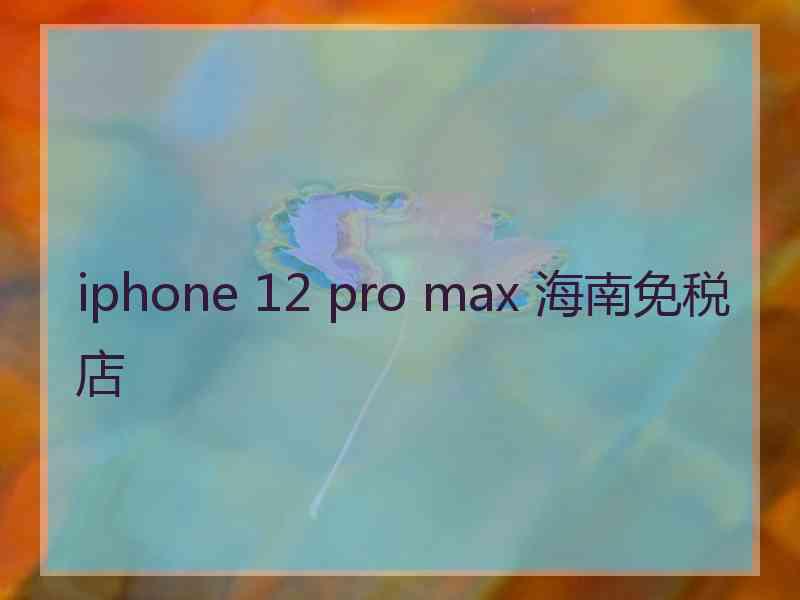 iphone 12 pro max 海南免税店