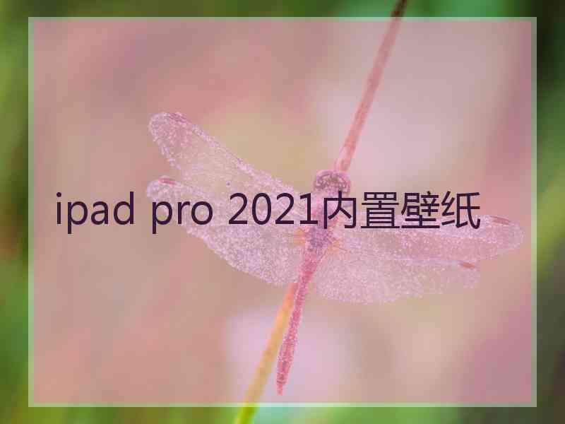 ipad pro 2021内置壁纸