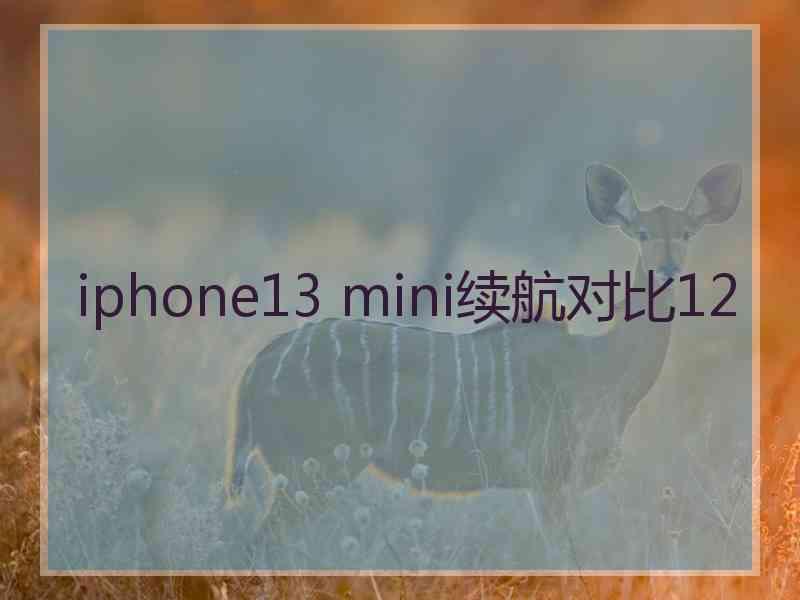 iphone13 mini续航对比12