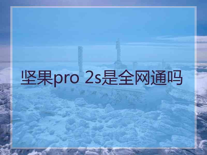 坚果pro 2s是全网通吗