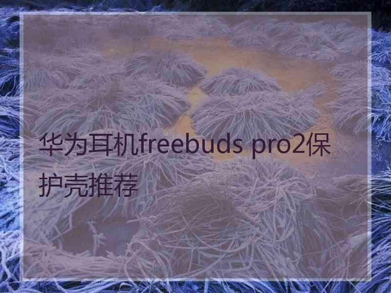 华为耳机freebuds pro2保护壳推荐