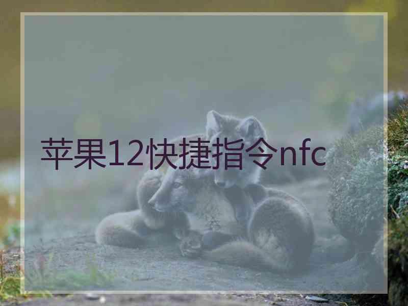 苹果12快捷指令nfc