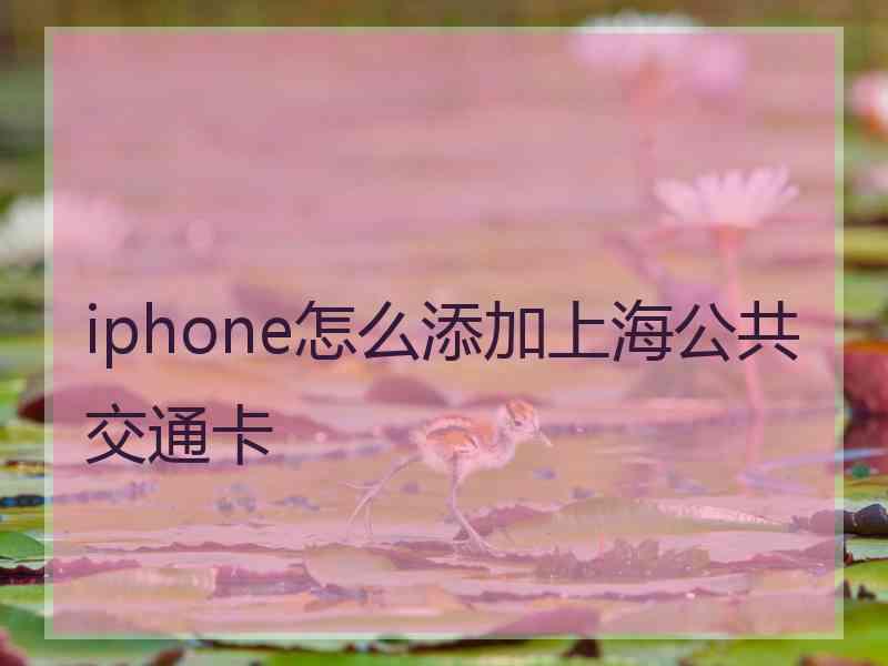 iphone怎么添加上海公共交通卡