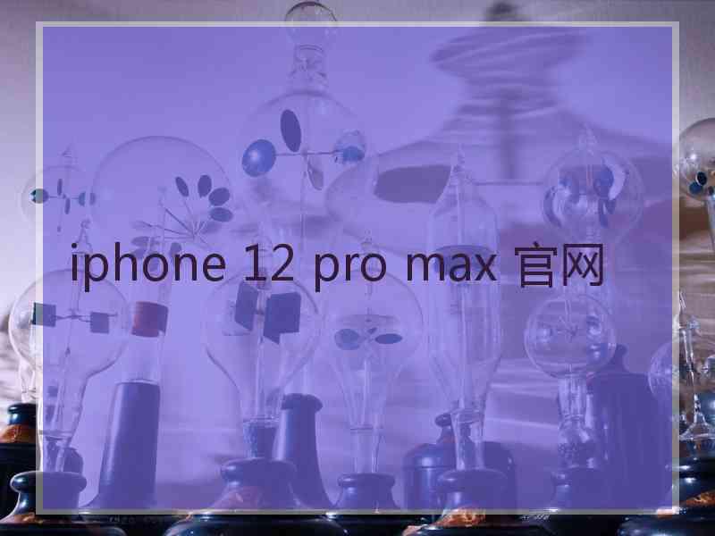 iphone 12 pro max 官网