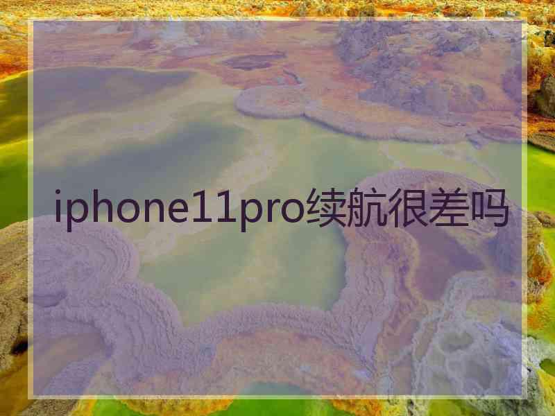 iphone11pro续航很差吗