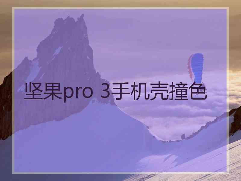 坚果pro 3手机壳撞色