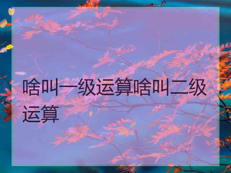 啥叫一级运算啥叫二级运算