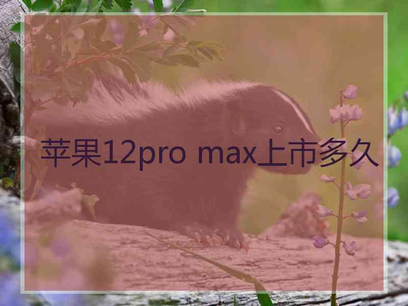 苹果12pro max上市多久