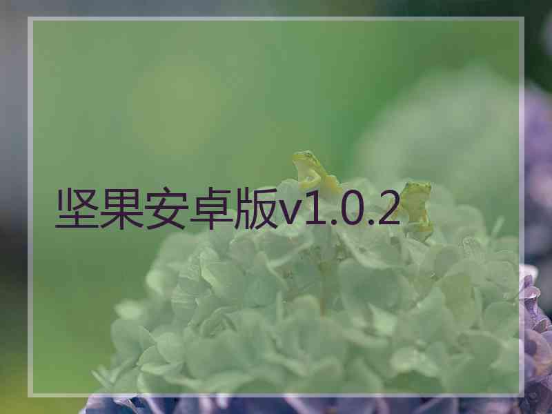 坚果安卓版v1.0.2