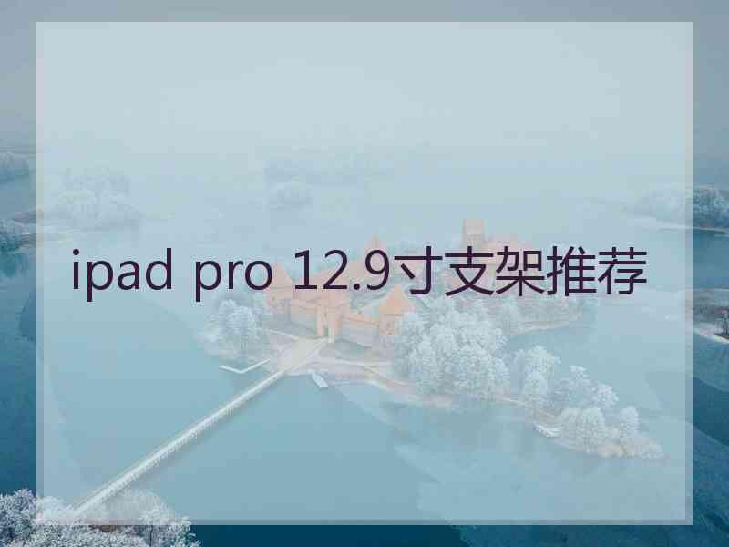 ipad pro 12.9寸支架推荐