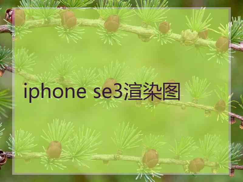 iphone se3渲染图