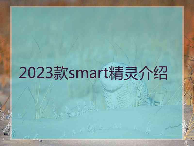 2023款smart精灵介绍