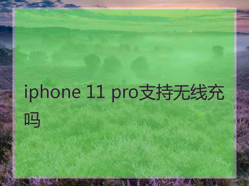 iphone 11 pro支持无线充吗