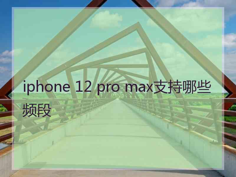 iphone 12 pro max支持哪些频段