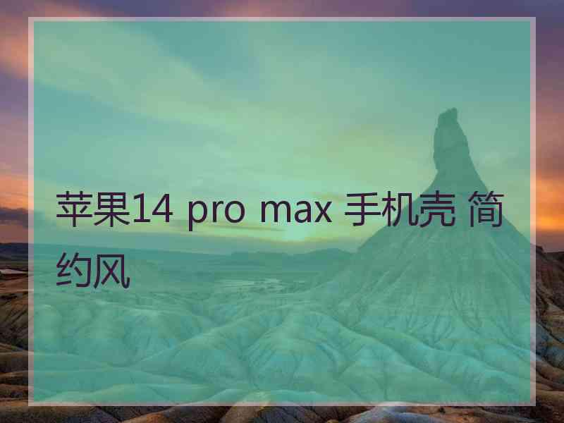 苹果14 pro max 手机壳 简约风