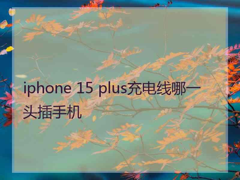 iphone 15 plus充电线哪一头插手机