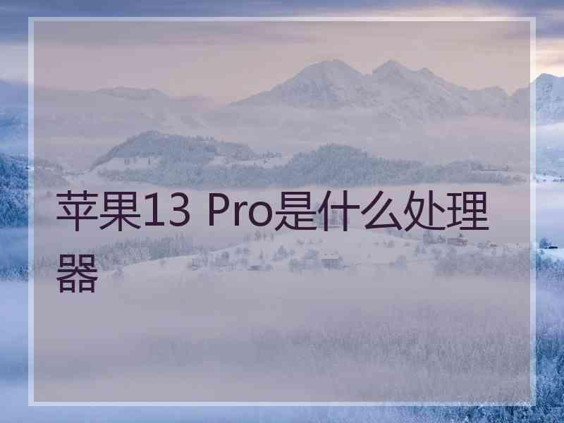 苹果13 Pro是什么处理器