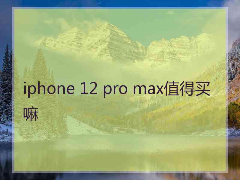 iphone 12 pro max值得买嘛