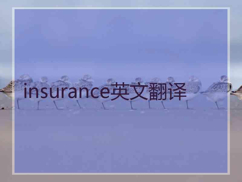 insurance英文翻译