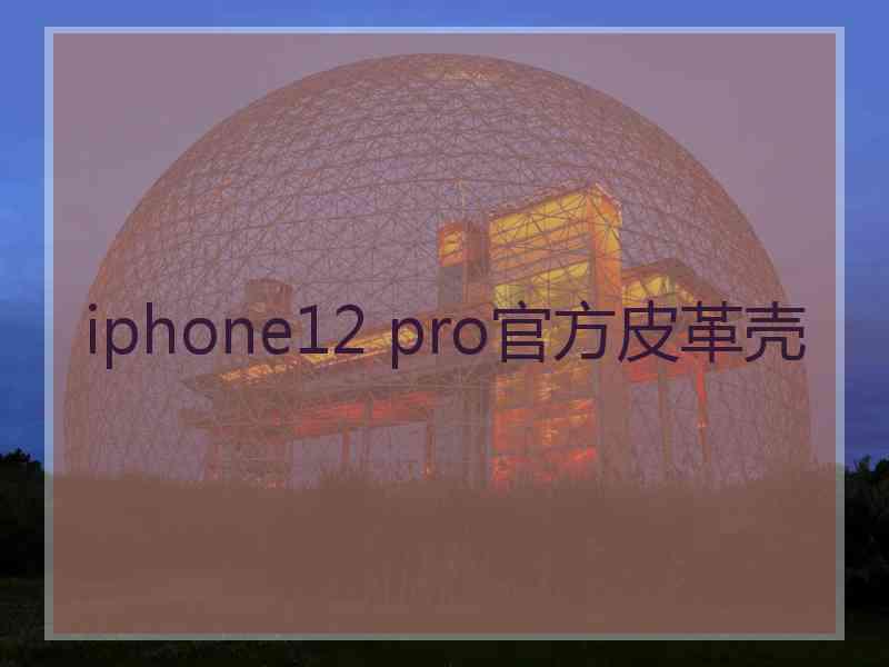 iphone12 pro官方皮革壳