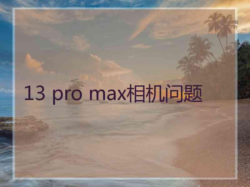 13 pro max相机问题