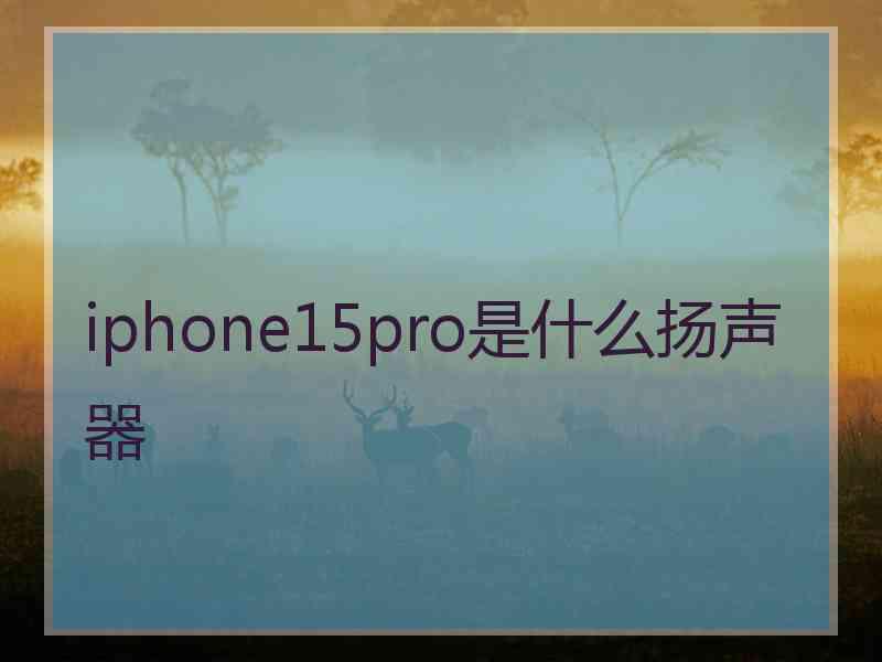 iphone15pro是什么扬声器