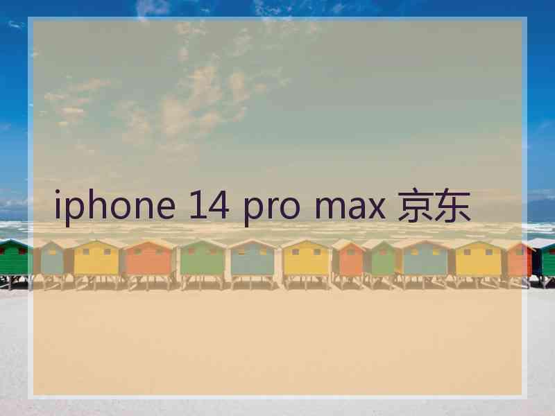 iphone 14 pro max 京东