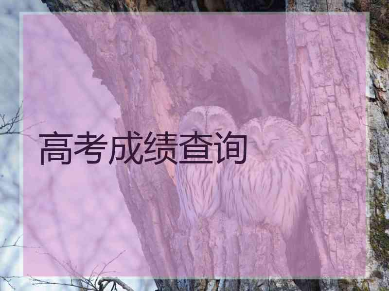 高考成绩查询