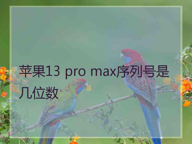 苹果13 pro max序列号是几位数